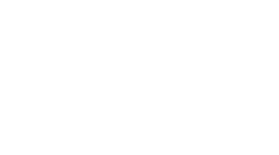 SalsaFlow